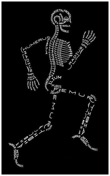 Ortopedi - Kemikler